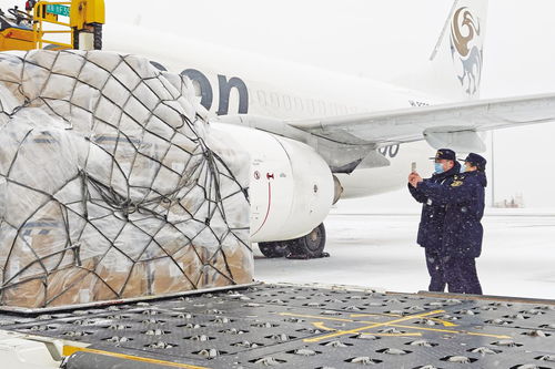 貨物進出口助推煙臺經(jīng)濟發(fā)展——煙臺日報電子報刊觀察